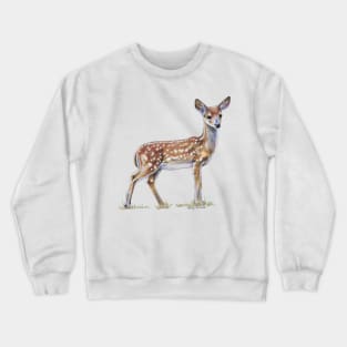 Fawn drawing (no background) Crewneck Sweatshirt